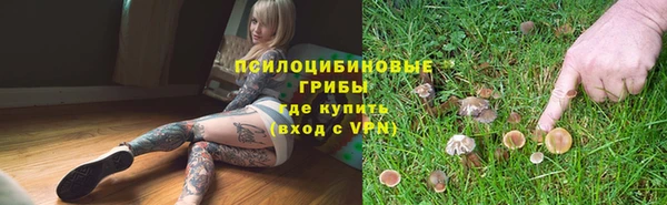 молекула духа Белокуриха