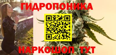 a pvp Аргун