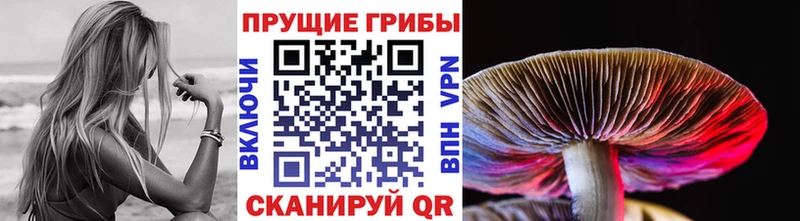 Галлюциногенные грибы Psilocybe  OMG зеркало  Бугульма  что такое наркотик 