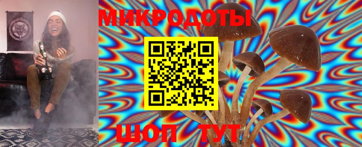 Псилоцибиновые грибы GOLDEN TEACHER Бугульма