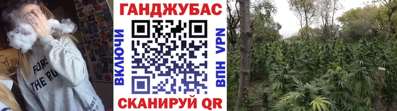 Конопля Ganja  наркота  Бугульма 